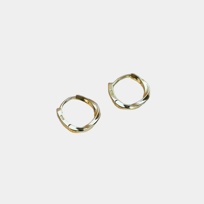 Silver Earrings with Round Insert