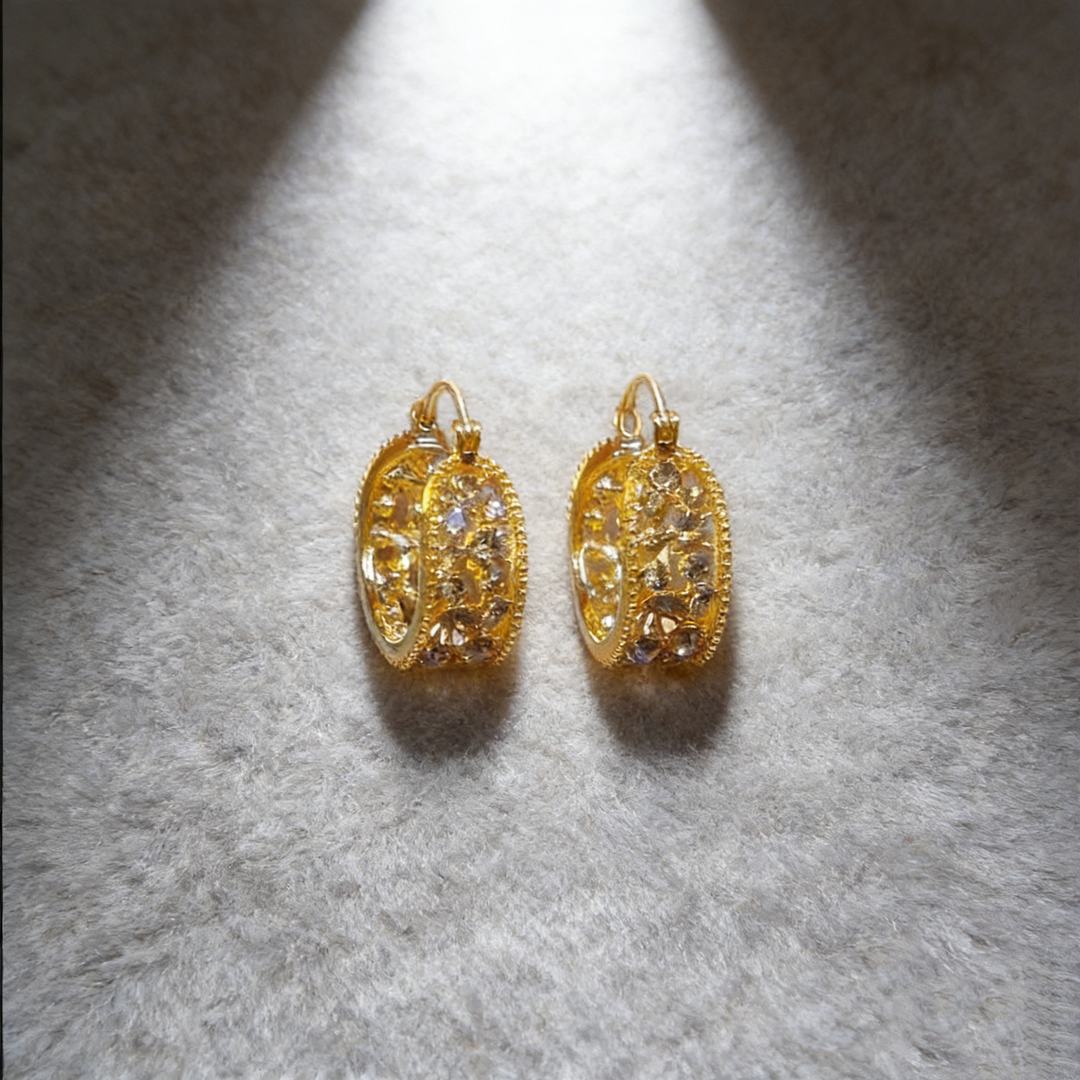 Elegant Natural Brown Crystal Hoop Earrings