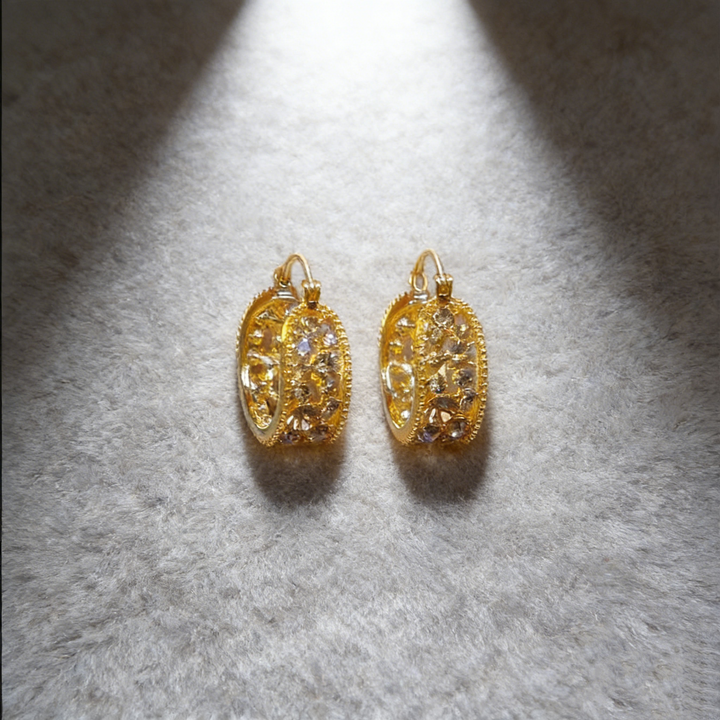 Elegant Natural Brown Crystal Hoop Earrings
