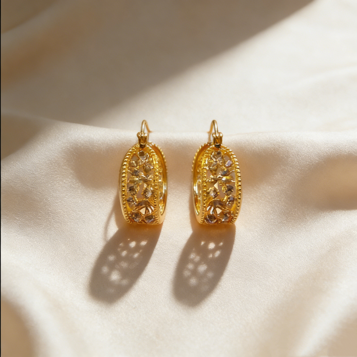 Elegant Natural Brown Crystal Hoop Earrings