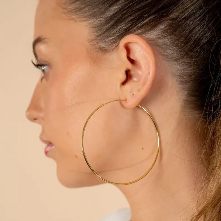 Sculpted Hoop Earrings