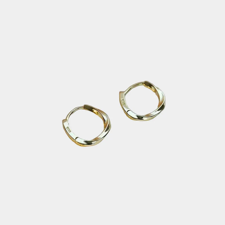 Silver Earrings with Round Insert