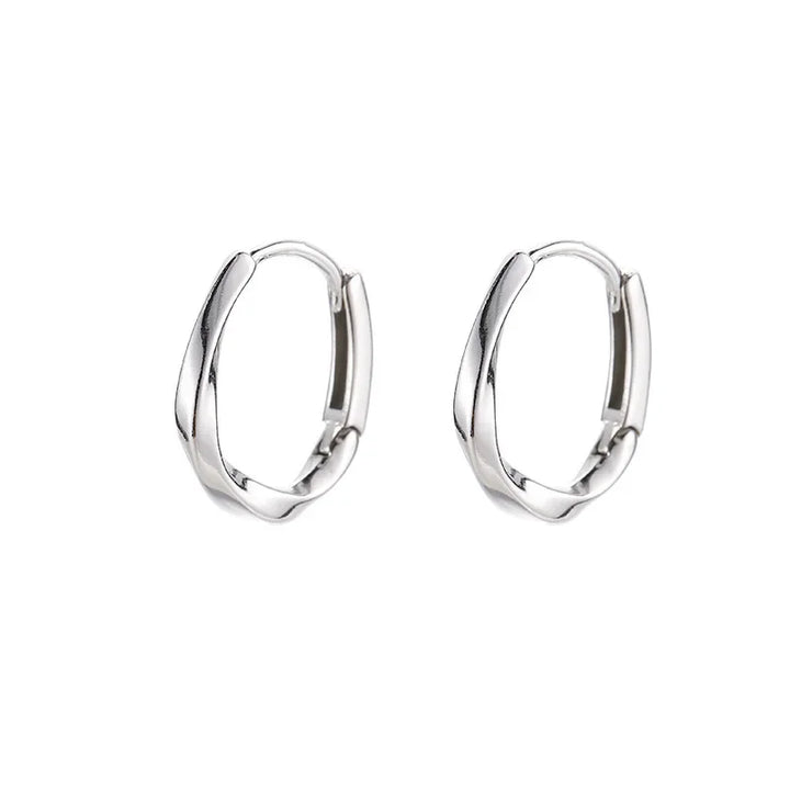 Silver Earrings with Round Insert